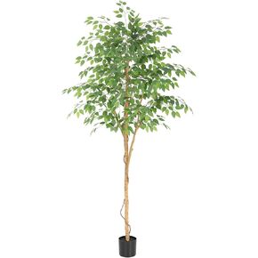 شجرة اللبخ الصناعية بطول 6 أقدام من بيلكات مع صندوق خشبي حقيقي، شجرة اللبخ المزيفة 72 بوصة بأوراق نابضة بالحياة، شجرة اللبخ الاصطناعية لديكور غرفة المعيشة وغرفة النوم والمكتب in Kuwait