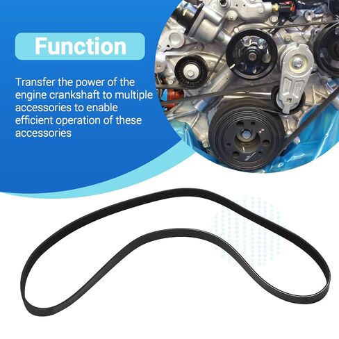 Engine Serpentine Drive Belt Fits for Honda 2002-2006 CR-V L4 2.4L Dodge 2004-2006 Ram 1500 2003-2006 Viper V10 8.3L Replaces K070683 1172000Q0F 31110RLF003 in Saudi Arabia