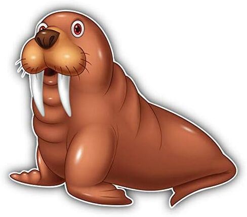 Glossy Walrus Round ID Badge Key Card Tag Holder Badge Retractable Reel Badge Holder with Belt Clip in Saudi Arabia