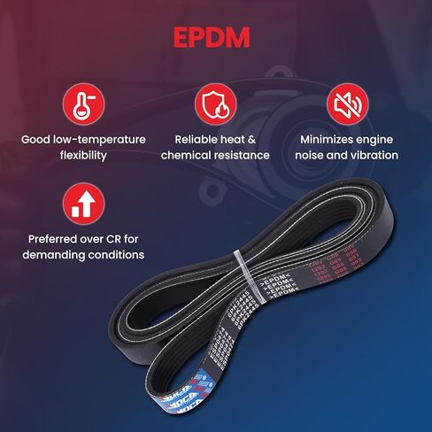 MOCA 6PK2445 Serpentine Belt Fit for Land Rover 2013-2017 & 2019 & 2021-2022 Range Rover 5.0L, for Ford 1999-2003 Windstar 3.8L, for Mercedes-Benz 1998-1999 S320 3.2L in Saudi Arabia