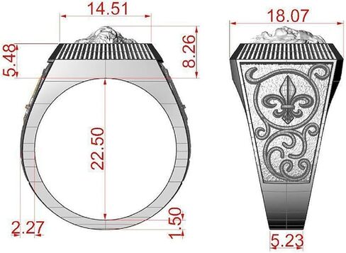 Lion Ring,Gothic Roaring Lion Head Ring for Men, Punk Lion Ring Norse Viking Lion Signet Ring Rock Retro Lion Totem Ring Hip hop Celtics Lion Animal Jewelry in Saudi Arabia