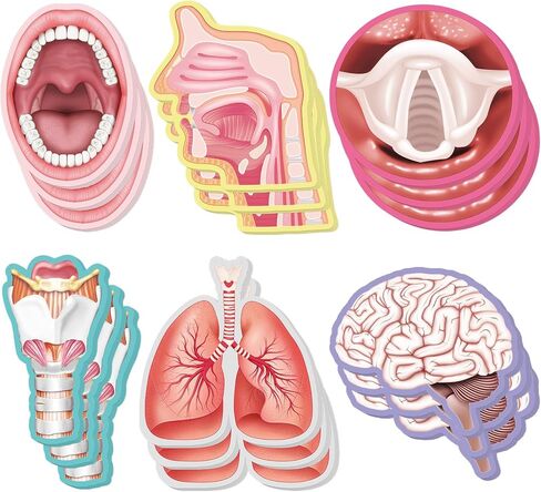 Thenshop 18 Pads SLP Sticky Notes SLP Stickers Notes Collection Teeth Mouth Cavity Brain Lungs Sticky Motivational Gifts for Speech Therapist in Saudi Arabia