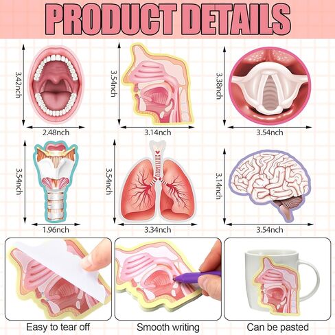 Thenshop 18 Pads SLP Sticky Notes SLP Stickers Notes Collection Teeth Mouth Cavity Brain Lungs Sticky Motivational Gifts for Speech Therapist in Saudi Arabia