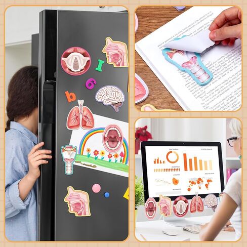 Thenshop 18 Pads SLP Sticky Notes SLP Stickers Notes Collection Teeth Mouth Cavity Brain Lungs Sticky Motivational Gifts for Speech Therapist in Saudi Arabia
