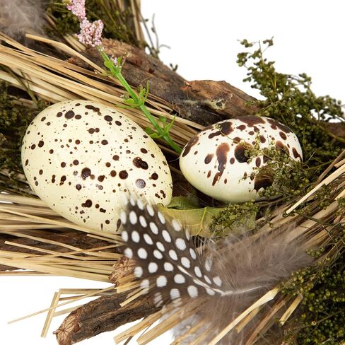 Northlight Speckled Eggs and Feathers Artificial Small Earthy Easter Wreath - 14" in Kuwait