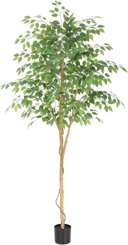 شجرة اللبخ الصناعية بطول 6 أقدام من بيلكات مع صندوق خشبي حقيقي، شجرة اللبخ المزيفة 72 بوصة بأوراق نابضة بالحياة، شجرة اللبخ الاصطناعية لديكور غرفة المعيشة وغرفة النوم والمكتب in Kuwait