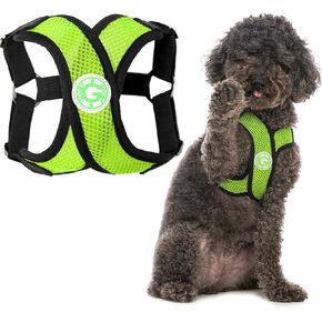 حزام Gooby Comfort X Step in - أرجواني، مقاس X-Large - حزام X للكلاب الصغيرة بدون سحب، إطار X خالٍ من الاختناق حاصل على براءة اختراع - مثالي أثناء التنقل للكلاب المتوسطة بدون سحب أو الكلاب الصغيرة in Kuwait