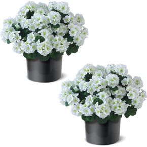 2 حزمة من زهور إبرة الراعي الاصطناعية والأشجار الموضعية في الهواء الطلق، شجيرات إبرة الراعي المقاومة للأشعة فوق البنفسجية بوعاء تبدو نباتات صناعية حريرية حقيقية للباب الأمامي حديقة الشرفة زارع ديكور المنزل المزرعة (الخوخ الأحمر) in Kuwait