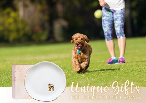 InnoBeta Goldendoodle Gifs for women, Ceramic Ring Dish, Jewelry Tray Decorative Trinket Dish for Rings Earrings Necklaces Bracelet Watch Keys, Gifts for Birthday, Mother's Day, Christmas - 4.75" in Saudi Arabia