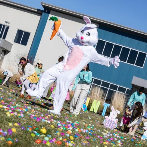 زي أرنب عيد الفصح الفاخر in Kuwait