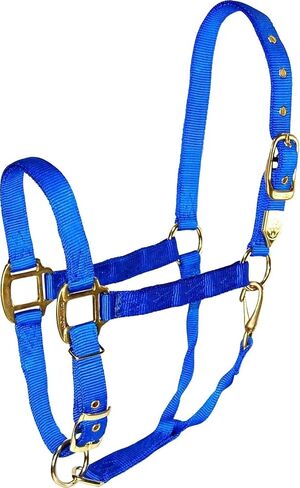 Hamilton 1-Inch Nylon Halter with Adjustable Chin, Blue - Average Size in Kuwait