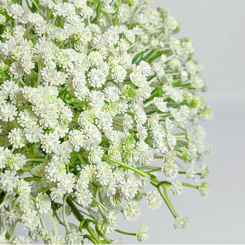 100 قطعة من زهور التنفس الاصطناعية للأطفال، زهور اصطناعية ذات ملمس حقيقي، مجموعة جيبسوفيلا وهمية لقطع مركزية الزفاف، ديكور حديقة المنزل والحفلات in Kuwait