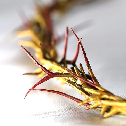 تاج الشوك بقطر 20 بوصة تاج يسوع بلاستيكي كبير الحجم لون ذهبي لديكور عيد الفصح ويوم العاطفة وديكور الكنيسة in Kuwait