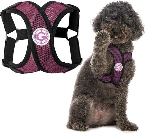 حزام Gooby Comfort X Step in - أرجواني، مقاس X-Large - حزام X للكلاب الصغيرة بدون سحب، إطار X خالٍ من الاختناق حاصل على براءة اختراع - مثالي أثناء التنقل للكلاب المتوسطة بدون سحب أو الكلاب الصغيرة in Kuwait