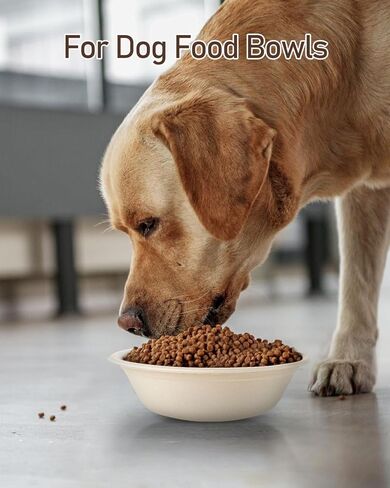 Paper Bowls 110 Pack 32oz Disposable Bowls, Heavy Duty Compostable Bowls, Eco-Friendly Biodegradable Bowl, Large Paper Bowls Bulk for Hot Soup, Salad, Party (White) in Kuwait