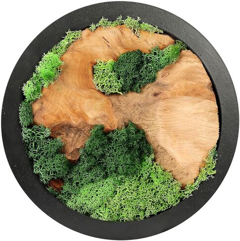 لوحة فنية جدارية من الطحالب الطبيعية المحفوظة من ناهارو - سحر ريفي مصنوع يدويًا من الطحالب والخشب الطبيعي لمنزلك - تعليق جداري فريد لغرفة المعيشة أو غرفة النوم أو المكتب أو المطبخ - بدون صيانة in Kuwait