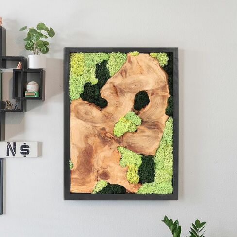 NAHARO Natural Preserved Moss Wall Art - Natural moss&wood Handcrafted Rustic Charm for Your Home- Unique Wall Hanging for Living Room, Bedroom, Office, or Kitchen - No Maintenance in Saudi Arabia
