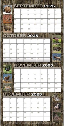 TURNER LICENSING Realtree Hunted Game 2026 12X12 Wall Calendar (26998012065) in Saudi Arabia