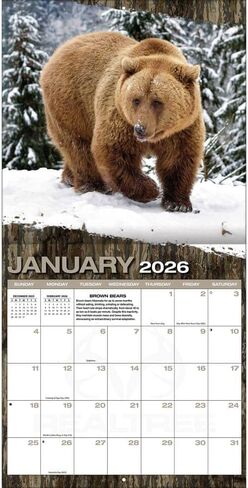 TURNER LICENSING Realtree Hunted Game 2026 12X12 Wall Calendar (26998012065) in Saudi Arabia