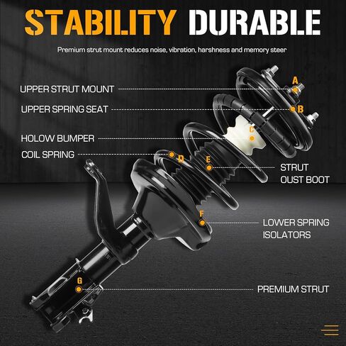 Front & Rear Left Right Complete Strut Spring Shock Absorber fits for Honda Element 2.4L 2003-2011 (Excludes SC Submodel), 171101L 171101R 172135 172136-4PCS in Saudi Arabia