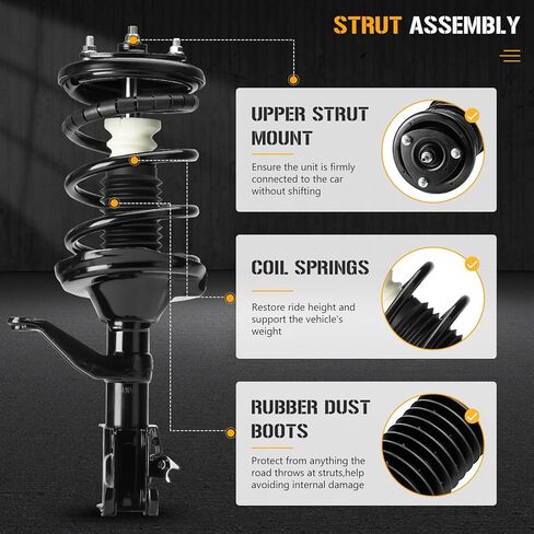 Front & Rear Left Right Complete Strut Spring Shock Absorber fits for Honda Element 2.4L 2003-2011 (Excludes SC Submodel), 171101L 171101R 172135 172136-4PCS in Saudi Arabia
