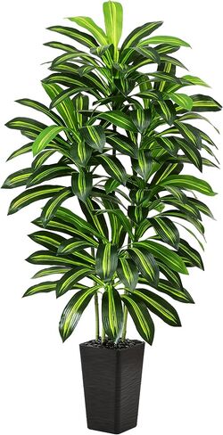 شجرة Dracaena الاصطناعية شجرة الحرير الاصطناعية مع زارع أبيض طويل القامة ونباتات أرضية اليوكا الاستوائية المزيفة (1، زارع أبيض طويل القامة، 5 أقدام) in Kuwait