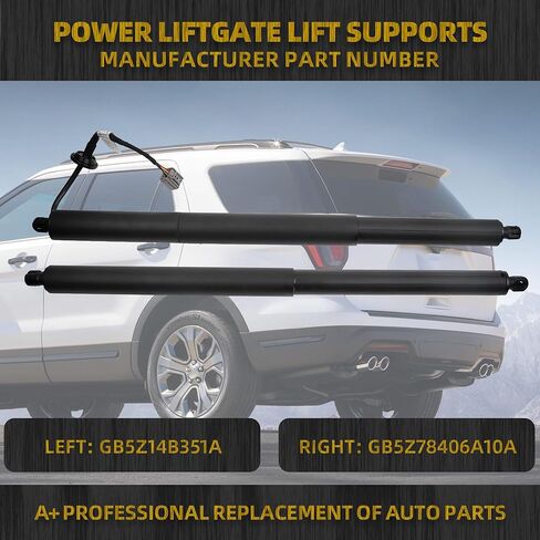 دعامات دعم الطاقة للباب الخلفي من Dasbecan متوافقة مع أداة Ford Explorer Police Interceptor Utility 2016-2019 Sport Utility رافعة الباب الخلفي استبدال GB5Z14B351A GB5Z78406A10A زوج من 2 in Saudi Arabia