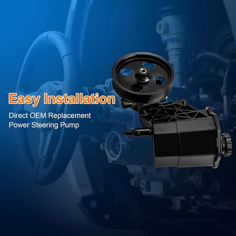 Power Steering Pump with Pulley Reservoir Fits for 2002 2003 2004 2005 2006 2007 Dodge Ram 1500, 2004-2007 Dodge Durango 2007 Chrysler Aspen Replaces 96-70269, ‎20-70269, 52113240AF, 5073240AA in Saudi Arabia