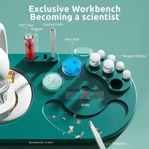 مجهر العلوم للأطفال - مجهر الطالب LED التكبير 40X-1600X مع 8 شرائح مُجهزة، لعبة مختبر العلوم التعليمية مع عدسات WF10x وWF20x، ألعاب العلوم والتكنولوجيا والهندسة والرياضيات للأطفال من سن 8 إلى 12 عامًا in Kuwait