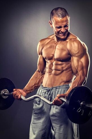 قضيب تجعيد EZ الأولمبي مقاس 47 بوصة للألواح مقاس 5 سم - Ez Bar - قضيب تجعيد Ez Barbell لرفع الأثقال، وضغط الورك، والقرفصاء، مع 2 من الياقات الزنبركية in Kuwait