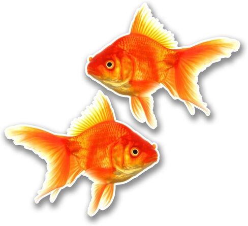 ذهبية الفينيل ملصق مائي محمول سيارة ملصقات للسيارة متعددة الأشكال السفر الأمتعة سيارة تسجيل متعة 5" in Kuwait