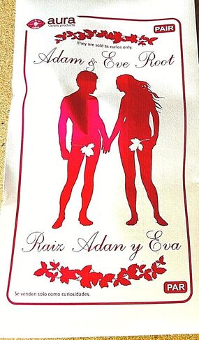 12 Packs (12 Pairs) ADAM and EVE Root Pair - Marriage Love Faithful Wicca Ritual Blessing Magick in Kuwait