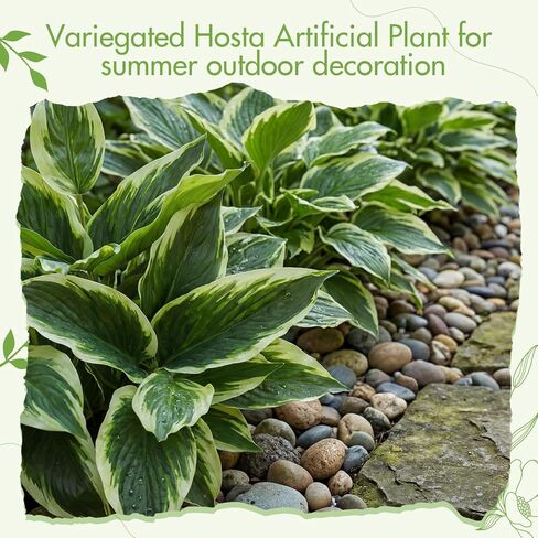 Hotop 3 Pack Variegated Hosta Artificial Plant for Summer Outdoor Decoration, 15.8" Faux Green Dieffenbachia Plant Greenery Aesthetic House Plants Outdoor Shrubs Indoor Office Yard Planter Filler in Saudi Arabia