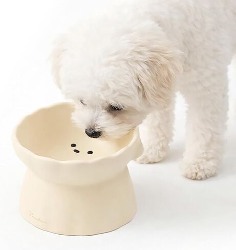 Lunabear elevated dog bowls, Raised dog bowl - Non slip, Perfect angel, Premium Silicone Material in Kuwait