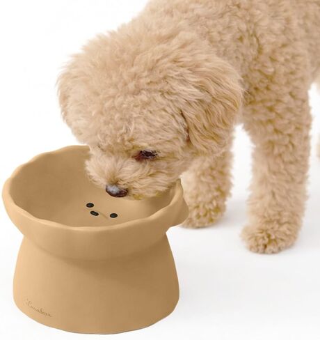 Lunabear elevated dog bowls, Raised dog bowl - Non slip, Perfect angel, Premium Silicone Material in Saudi Arabia