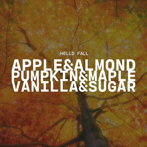 شركة ميلك هاوس كاندل كومباني هالو فال شمعة الصويا - التفاح الذهبي | قرع متبل | برائحة الفانيليا النقية - برطمان مزرعة بغطاء سعة 26 أونصة، وقت احتراق يزيد عن 150 ساعة، صنع في الولايات المتحدة الأمريكية in Kuwait