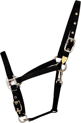 Hamilton 1-Inch Nylon Halter with Adjustable Chin, Black - Average Size in Kuwait