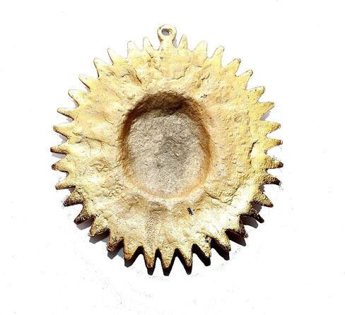 NANNUDECO Wall Hanging Article Safe from Evil Eyes Home Decor Brass Surya 7.5 X 7.5 Inches. in Saudi Arabia