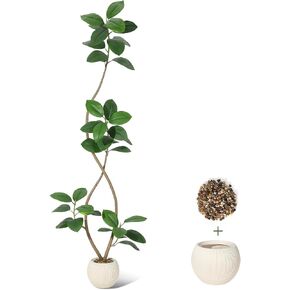 شجرة مطاطية صناعية بطول 7 أقدام مع زارع راتنج كروي أبيض وشجرة تين من أوراق الكمان الصناعية، شجرة اصطناعية داخلية طويلة نبات شجرة وهمية استوائية كبيرة أرضية شجرة لمسة حقيقية لديكور المنزل in Kuwait