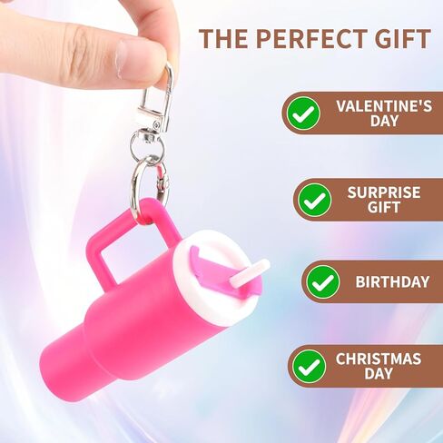 2 Pack Mini Tumbler Keychain with Lip Balm Holder,Cute Cup Charm for Keys, Bags & Wallets(Pink/Rose Red) in Saudi Arabia