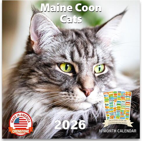 Maine Coon Cats Calendar 2026 - Maine Coon Kittens 2026 Wall Calendar, Includes 100+ Reminder Stickers | 12" x 24" Open | Giftable | Made in The USA in Kuwait