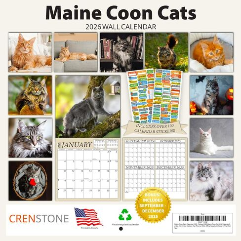 Maine Coon Cats Calendar 2026 - Maine Coon Kittens 2026 Wall Calendar, Includes 100+ Reminder Stickers | 12" x 24" Open | Giftable | Made in The USA in Kuwait
