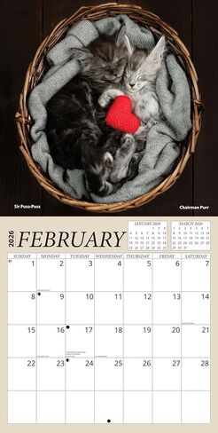 Maine Coon Cats Calendar 2026 - Maine Coon Kittens 2026 Wall Calendar, Includes 100+ Reminder Stickers | 12" x 24" Open | Giftable | Made in The USA in Kuwait