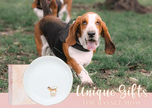 InnoBeta Basset Hound Gifs for women, Ceramic Jewelry Tray Decorative Trinket Dish for Rings Earrings Necklaces Bracelet Watch Keys, Gifts for Birthday, Mother's Day, Christmas - 4.75" in Saudi Arabia