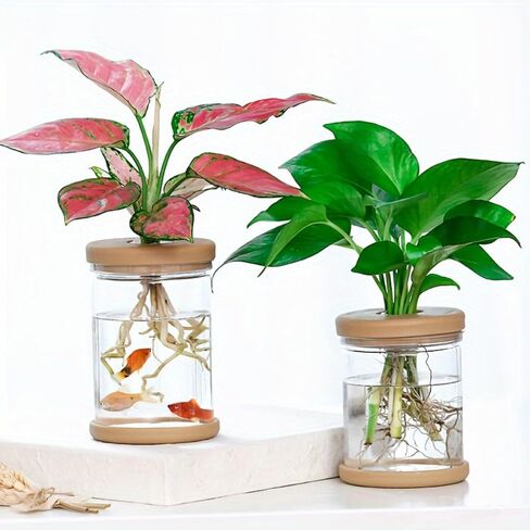 Clear Glass Hydroponic Vase, Transparent Plant Propagation Station for Indoor Plants, Flower Vase with Wooden Base for Home Office Decor in Saudi Arabia
