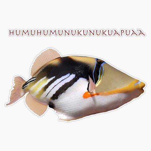 Magnet Humuhumunukunukuapua'A Magnetic Bumper Sticker 5" in Saudi Arabia