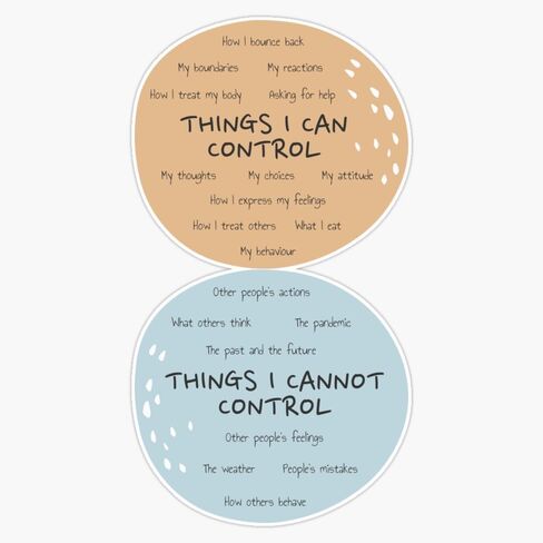 Magnet Circle of Control Poster Mental Health Therapy Counseling Wall Art Therapist Office Things I Can Control Psychotherapy Self Care Magnetic Vinyl Sticker 5" in Saudi Arabia