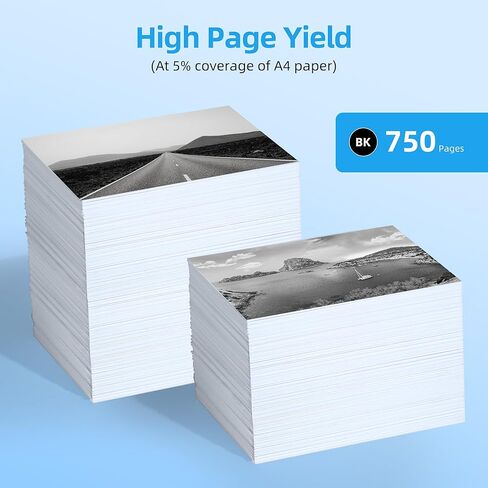 خراطيش حبر 63XL بديلة لـ HP 63 (أسود 2-Pack) تعمل مع DeskJet 1110 1111 1112 2130 2131 2132 2133 3630 3631 3632 ENVY 4511 4512 4513 4516 4517 4520 4522 4523 4524 4525 4526 4527 4528 in Kuwait