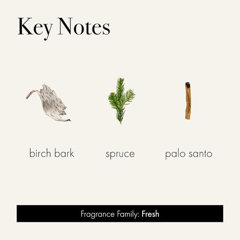 LAFCO New York 2024 Holiday Votive Candle, Woodland Spruce - 1.9 oz - 20-Hour Burn Time - Reusable, Decorative Glass Vessel - Made in The USA in Kuwait