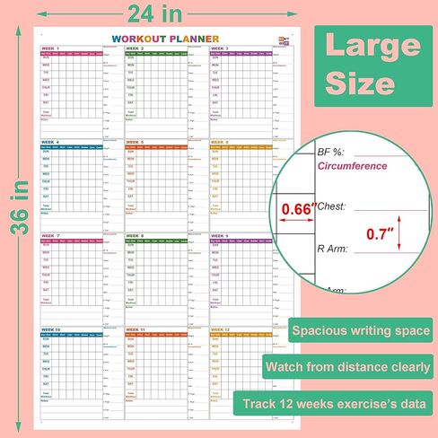 Large Dry Erase Workout Calendar For Wall, 24 X 36 Inch Reusable 12 Week Weight Loss Tracker Chart, Lightweight Gym Whiteboard Poster For Tracking Exercise, Body's Measurement & Circumference in Kuwait